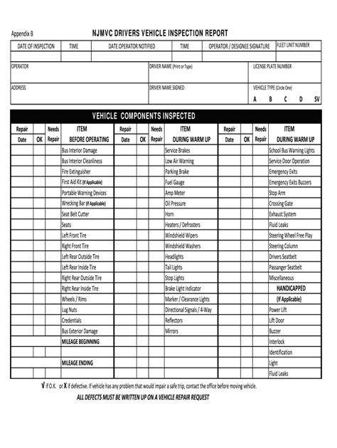 Driver Vehicle Inspection Report