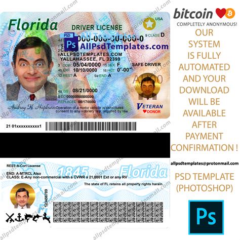 Drivers Licence Template Design