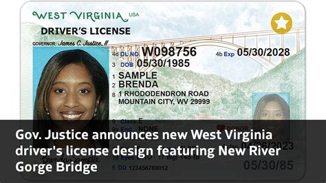 Driver's license