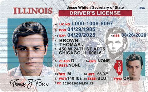 Driver's License Template 2