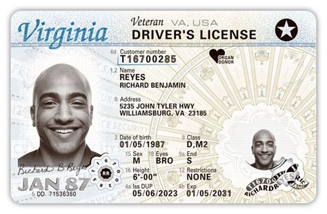 A driver's license template design elements