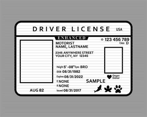 Driver's License Template for Play Learning