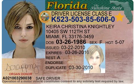 drivers license templates word