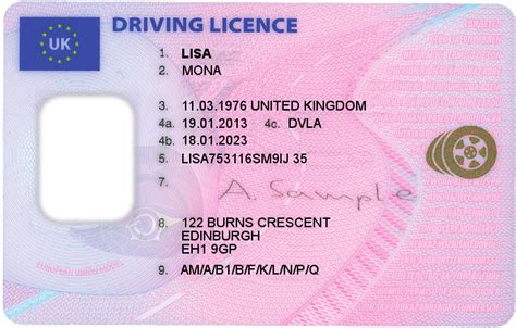 Driving Licence Template