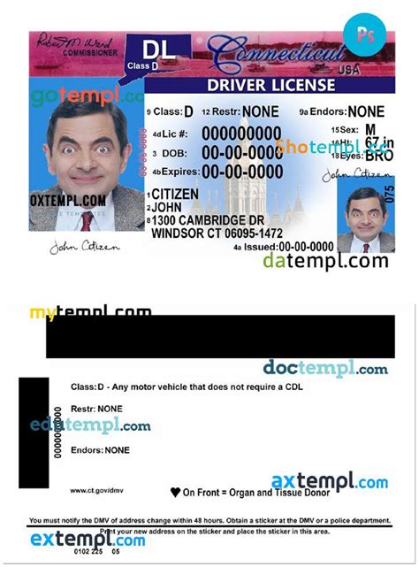 Driving Licence Template Gallery 1