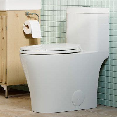 Dual Flush Toilet Seat