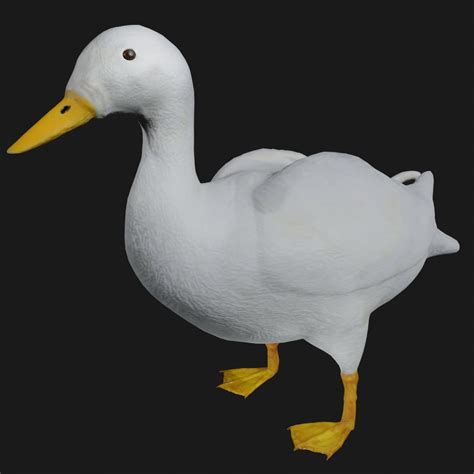 Duck 3D Model for Kids