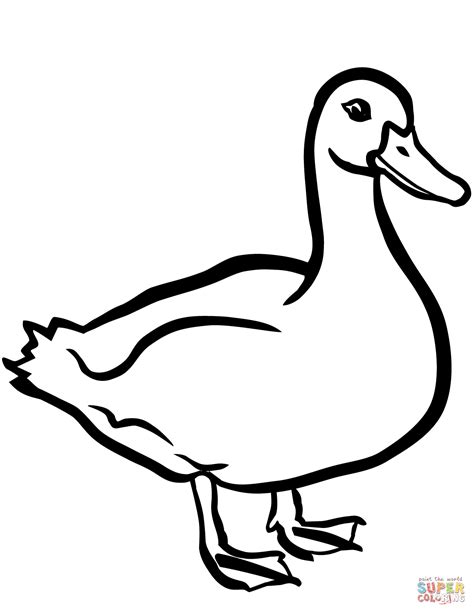 Duck Coloring Page for Kids