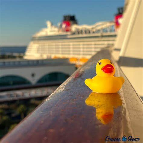 Duck Cruising on the Beach