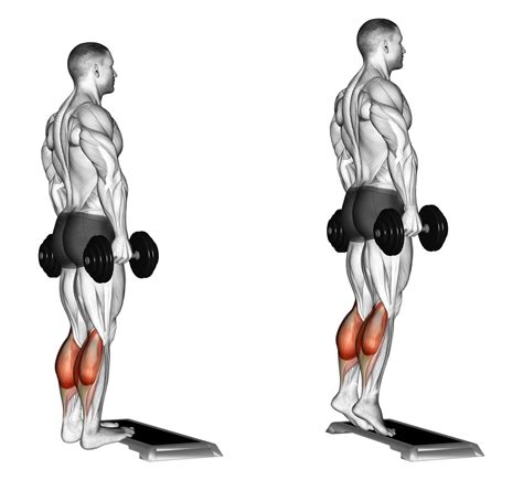 Dumbbell Calf Raise