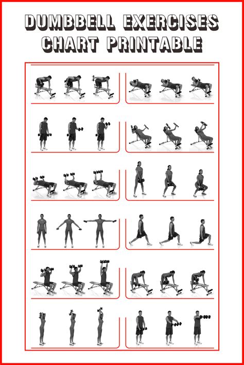 Dumbbell Exercise Chart