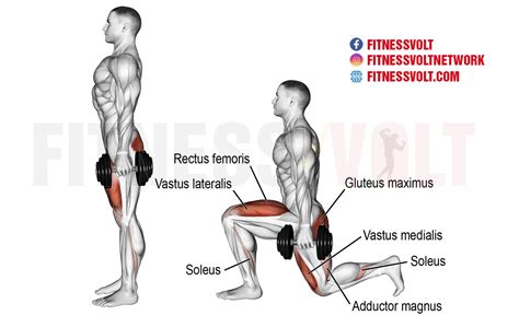 Dumbbell Lunges