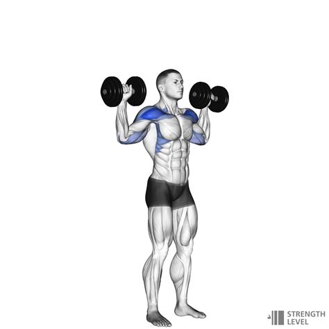 Dumbbell Shoulder Press