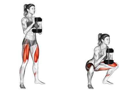 Dumbbell Squat