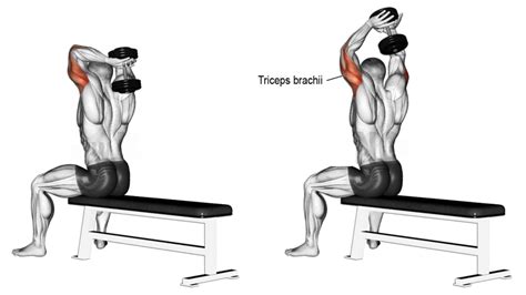 Dumbbell Tricep Extension