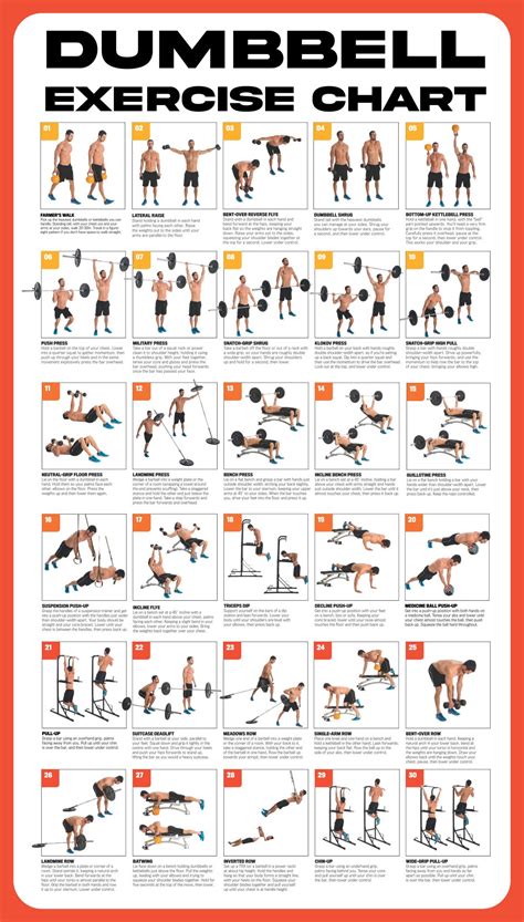 Dumbbell Workout Chart Example