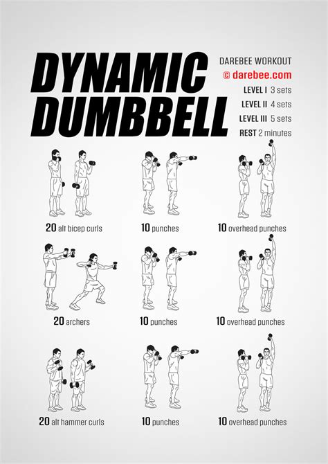 Dumbbell Workout Routine