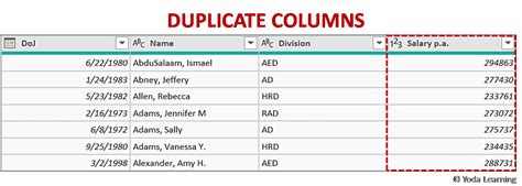 Duplicate columns