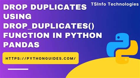 Duplicate Function in Excel