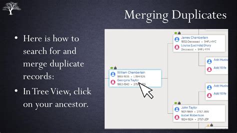 Duplicate merging