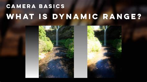 Dynamic Range