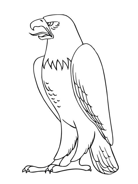 Eagle Coloring Pages for Kids Free