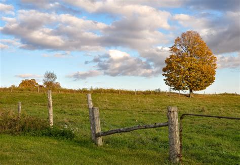 Easement mediation in North Carolina