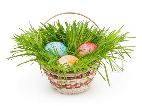 Easter basket grass