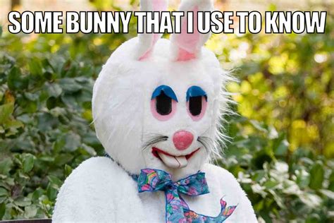 Easter Bunny Meme Angry