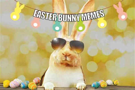 Easter Bunny Meme Lazy