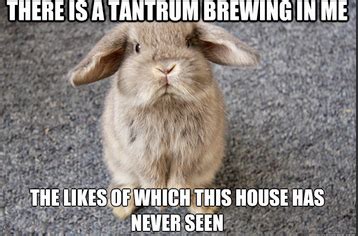 Easter Bunny Temper Tantrum Meme