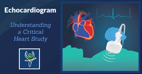 Echocardiogram tattoo design examples