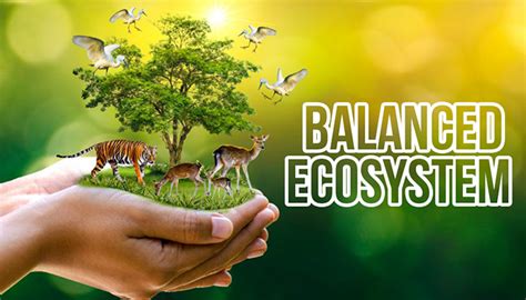 Ecosystem Balance