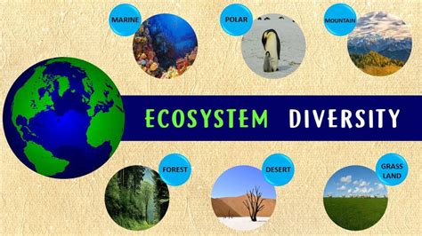 Ecosystem diversity