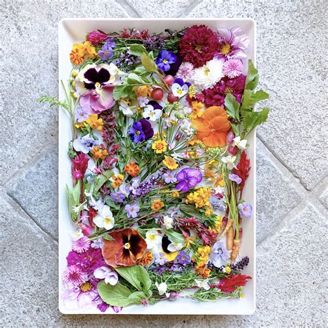 Edible flowers and herbs