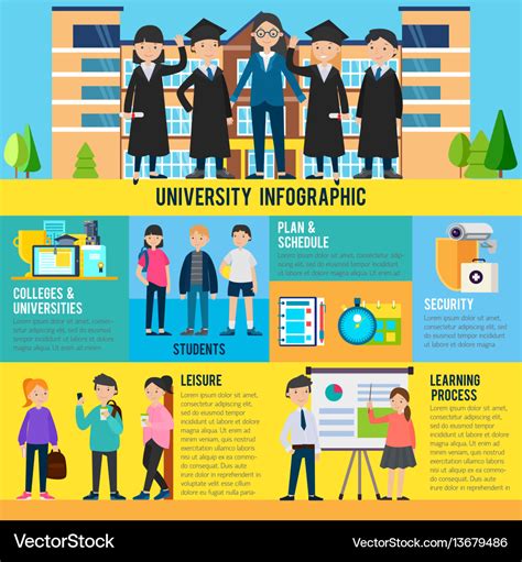 Education infographic template