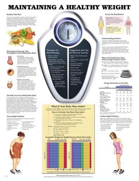 Description of Educational Weight Charts