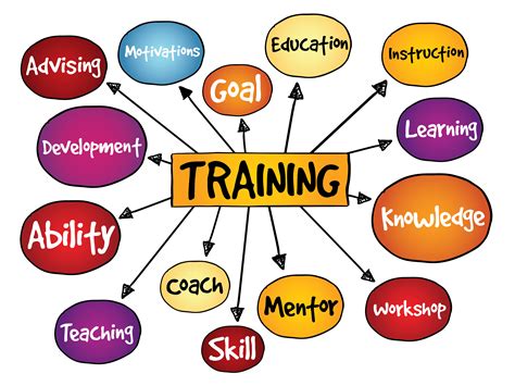 Effective Education and Training Program