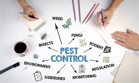 Pest control professional eliminating pests from a home