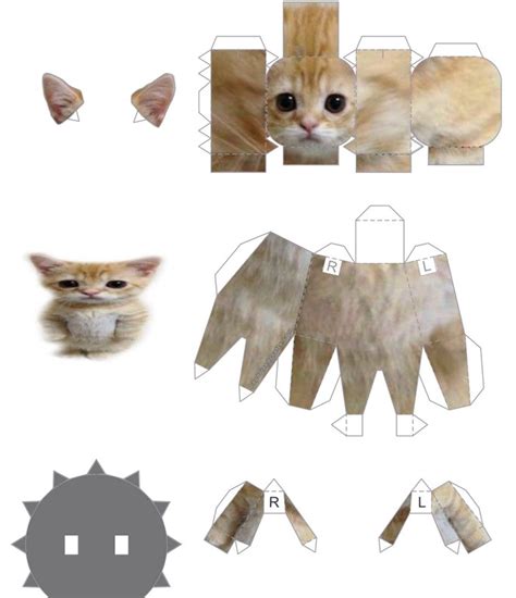 El Gato Cat Template Examples