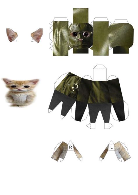 El Gato Cat Template FAQs