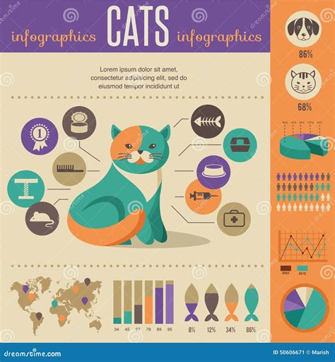 El Gato Cat Template for Infographics