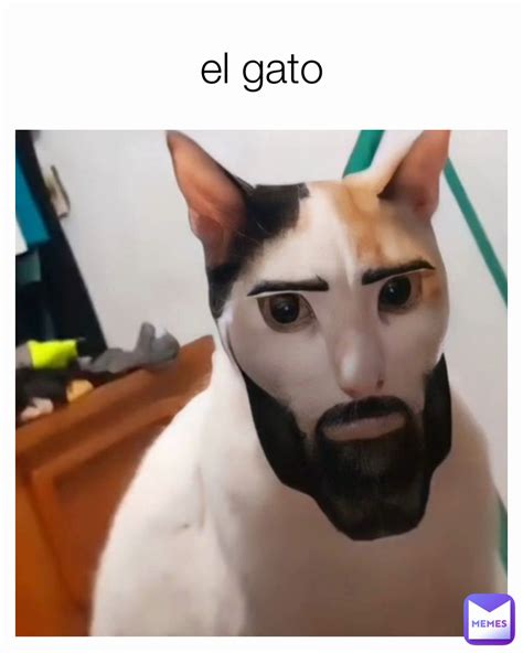 El Gato Meme with GIF