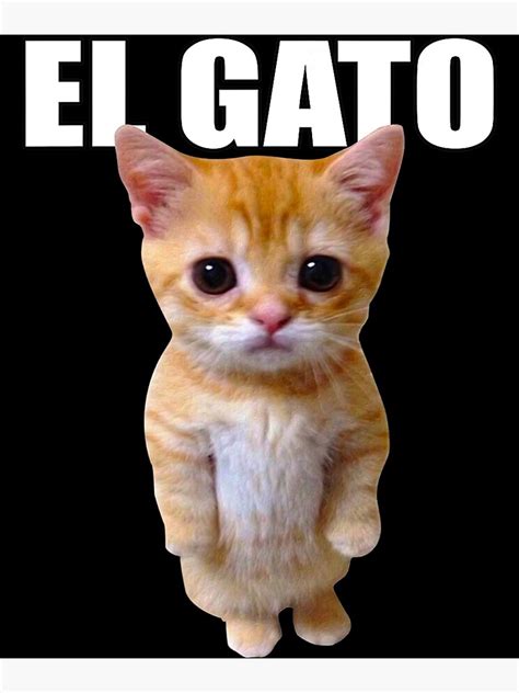 El Gato Meme with Text