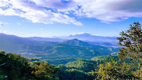 El Salvador Forest