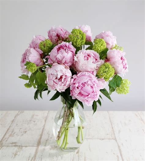 Elegant Peonies