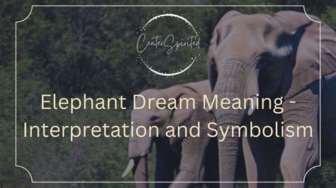 Elephant in dream representing spiritual growth