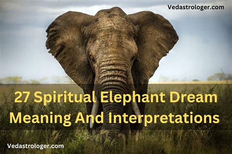 Elephant in dream representing spiritual awakening