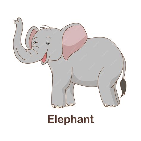 Elephant Flashcard