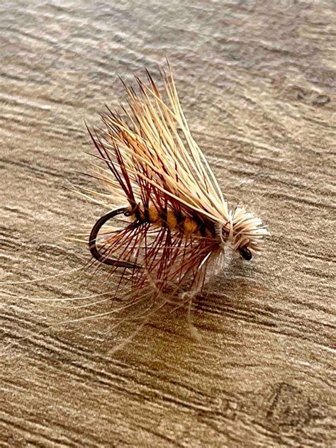 A close-up of the Elk Hair Caddis fly